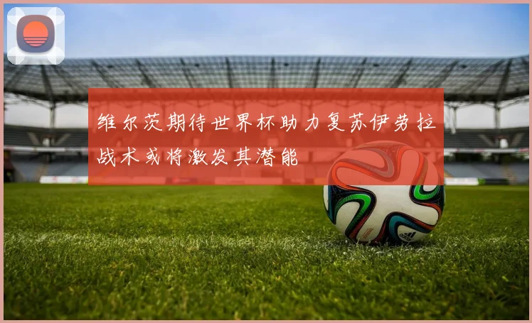 维尔茨期待世界杯助力复苏伊劳拉战术或将激发其潜能